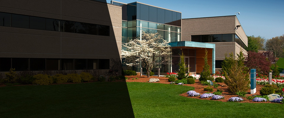 Frisco Landscapers