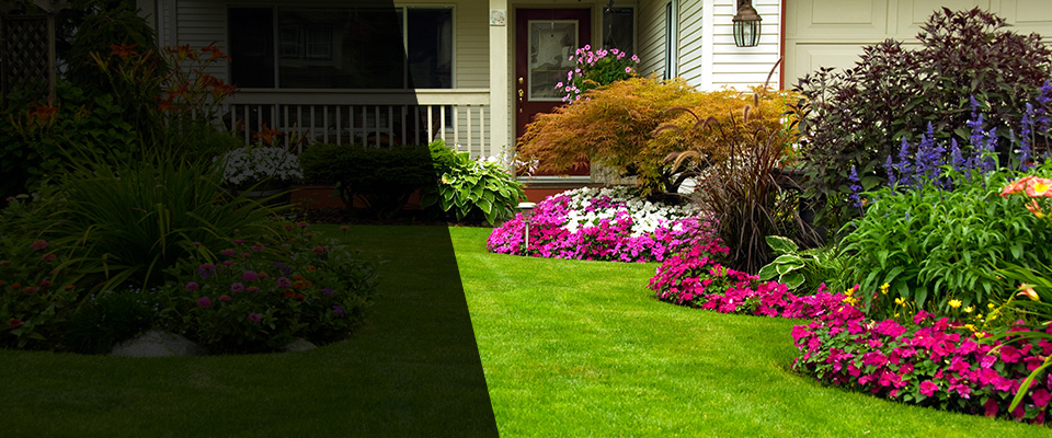 Frisco Landscapers