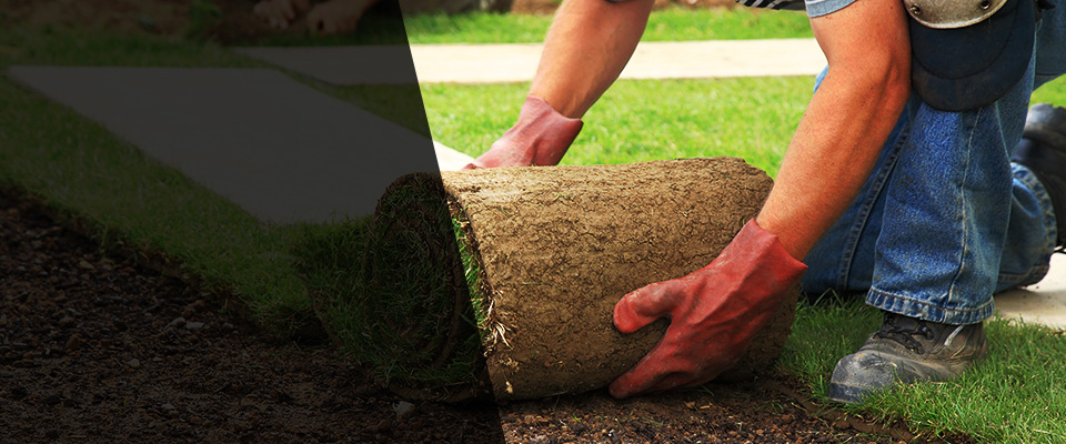 Frisco Landscapers